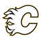 Calgary Flames6.jpg