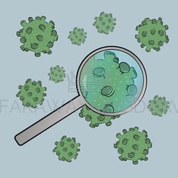 coronavirus vaccine health world human epidemic medicine vector