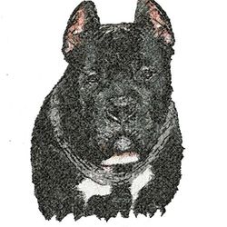 Cane Corso breed Dog | Pet | Security guard | Watchman | Machine Embroidery Design | Photo Stitch | Download design