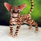 Bengal cat art doll animal  (7).JPG