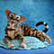 Bengal cat art doll animal 2.JPG