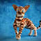 Bengal cat art doll animal 8.JPG