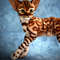 Bengal cat art doll animal 10.JPG