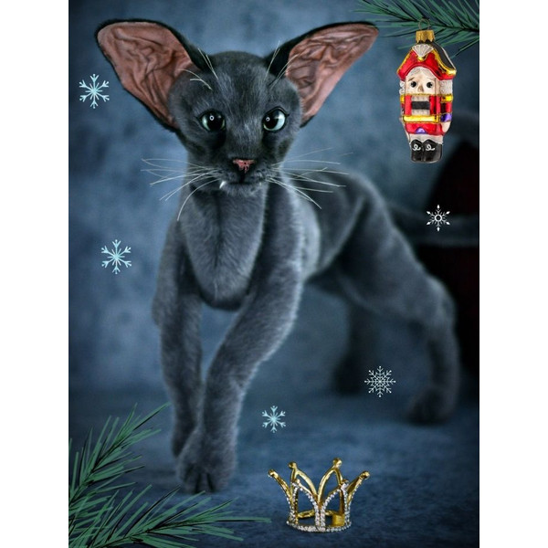 Grey Oriental Cat Toy (3).jpg