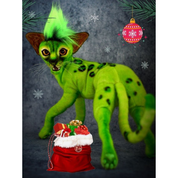 Grinch - the green cat 8.jpg
