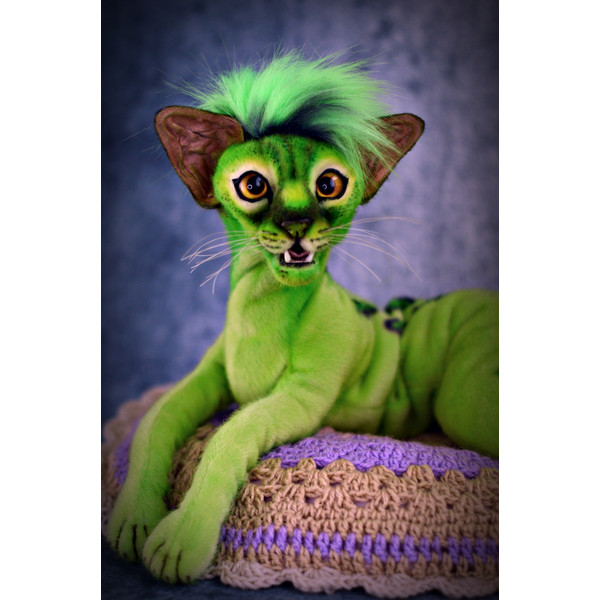 Grinch - the green cat 5.JPG