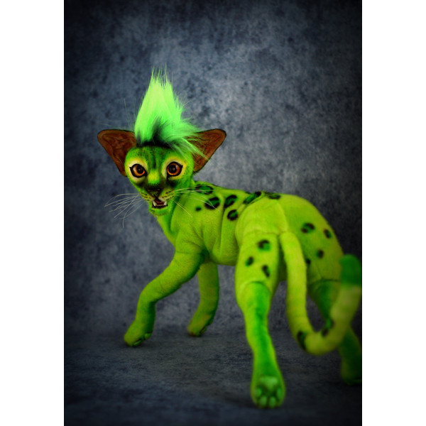 Grinch - the green cat 6.JPG