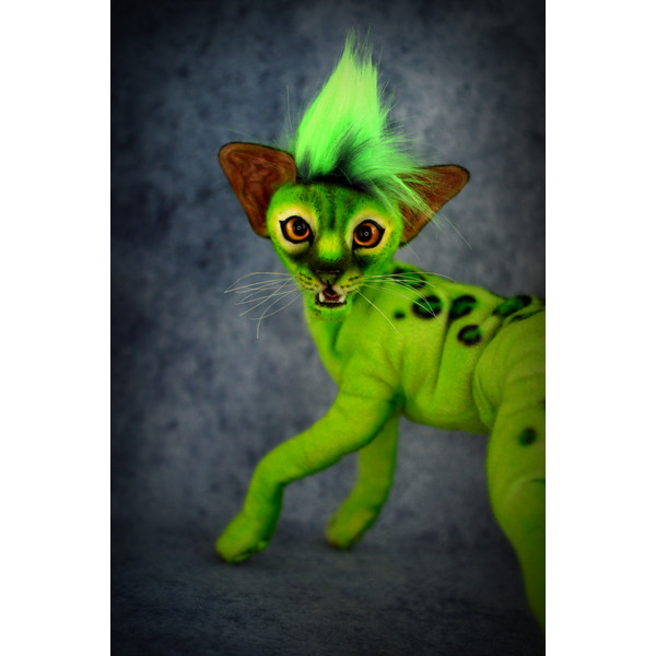 Grinch - the green cat 7.JPG