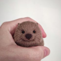 Wombat handmade collectible toy/Needle felted wombat