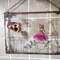 Fairy-stained-glass-Pressed Flower-in-glass-DIY-Vintage-frame-Flower-Fairy-art-2.jpg