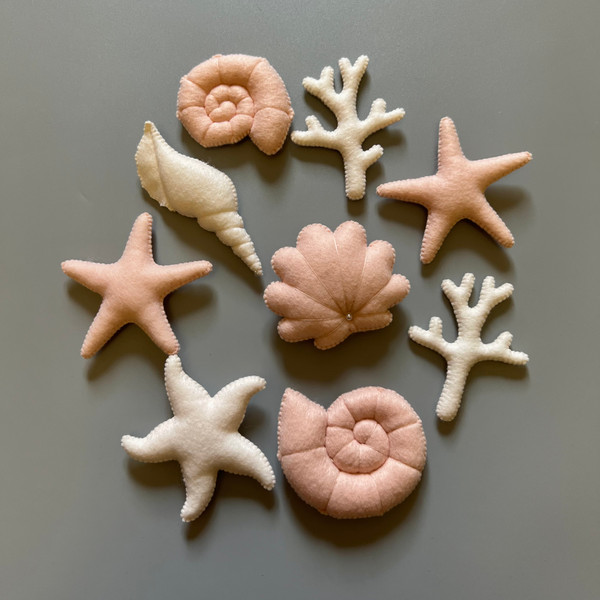 seashells and starfish and corals