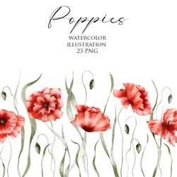 watercolor floral clipart – poppies. wildflowers illustration, summer flowers, plant, blossom, blooming, bouquet.
