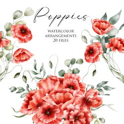 Watercolor floral clipart – Poppies arrangements, bouquets. Wildflowers illustration, summer flowers, plant, blossom