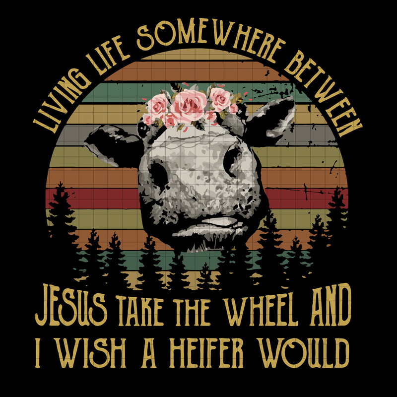 144 Living life somewhere between jesus take the wheel.png