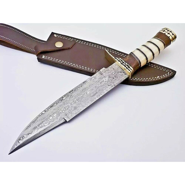 Custom Handmade Damascus steel COLUMBIA Fixed Blade Bowie Knife Camping Hunting 2.jpg