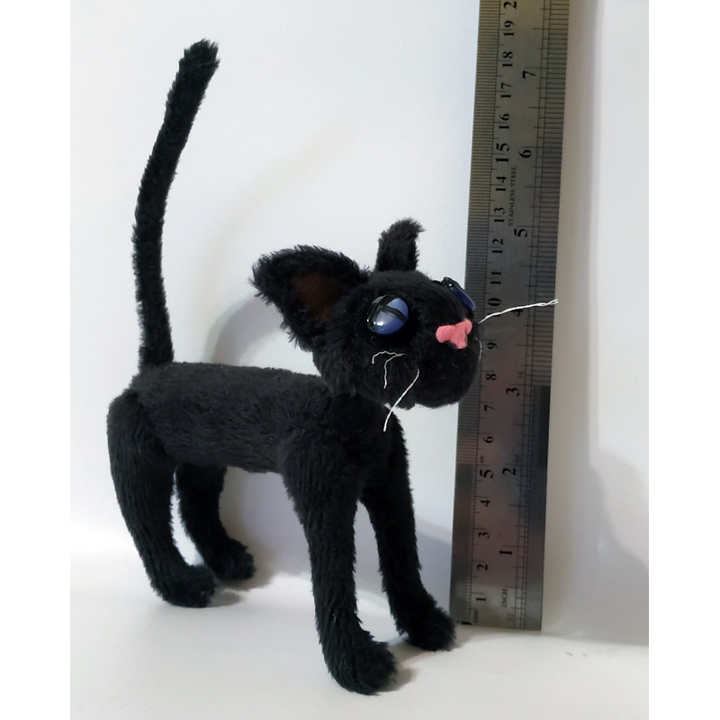 cat_coraline.jpg
