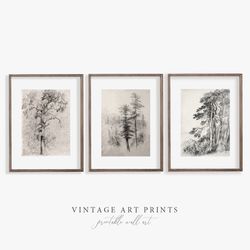Antique Tree Drawing Print | Landscape Sketch | Pine Tree | Black And White | Digital Printable | 13