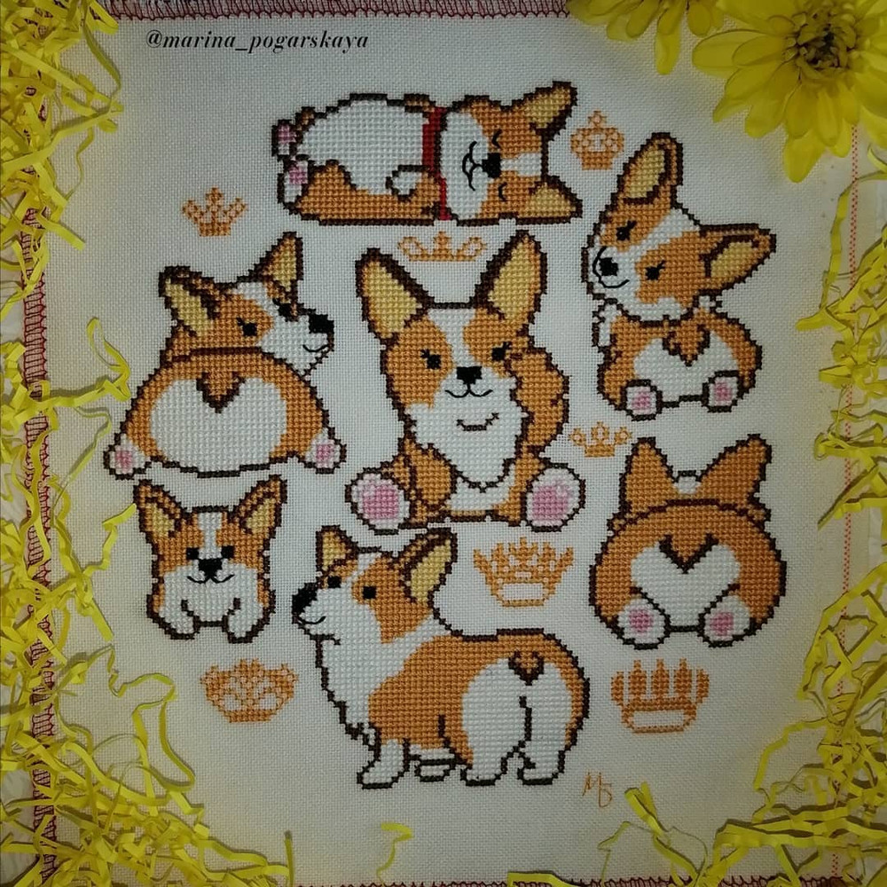 baby cross stitch corgi.jpg