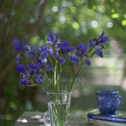 Irises photo, blue flowers photography, printable still life with a bunch of flowers, irises art, digital download