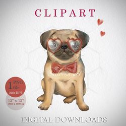 Pug puppy PNG, Valentine's Day design. Digital clipart. Sublimation PNG. Clipart PNG. Digital download.