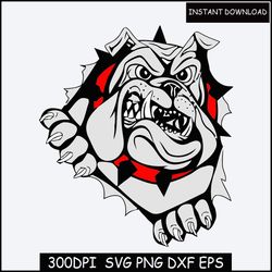 go dawgs svg, georgia bulldogs national champions svg, georgia bulldogs svg, bulldogs national champions svg