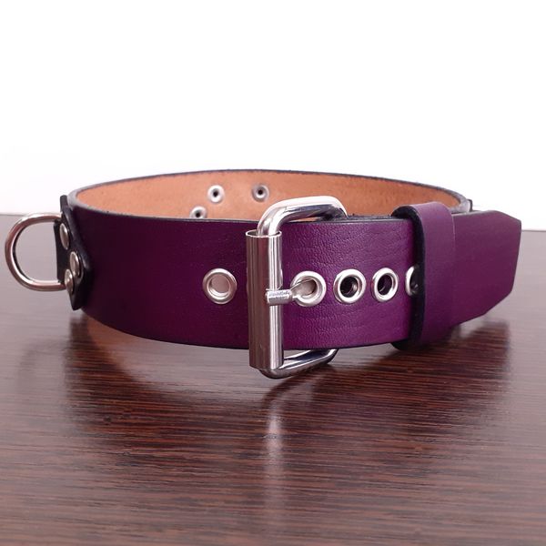 Purple womens bdsm collar with buckle.jpg