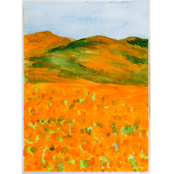california poppy fields original watercolor painting poppy wall art floral landscape small artwork