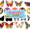 Butterfly svg, Butterfly svg bundle, Layered Butterfly Bundle Cricut SVG Files, Butterflies, Butterfly Svg.jpg
