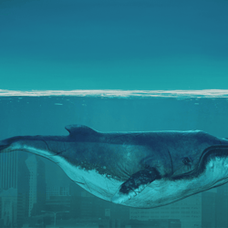 samsung frame tv art whale digital download for samsung frame frame tv art samsung art tv
