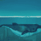 Whale.png