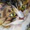 cat-painting4.jpg