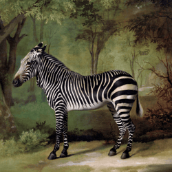 samsung frame tv art george stubbs zebra digital download for samsung frame samsung art tv frame tv art