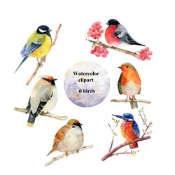Watercolor Birds Clipart, png.