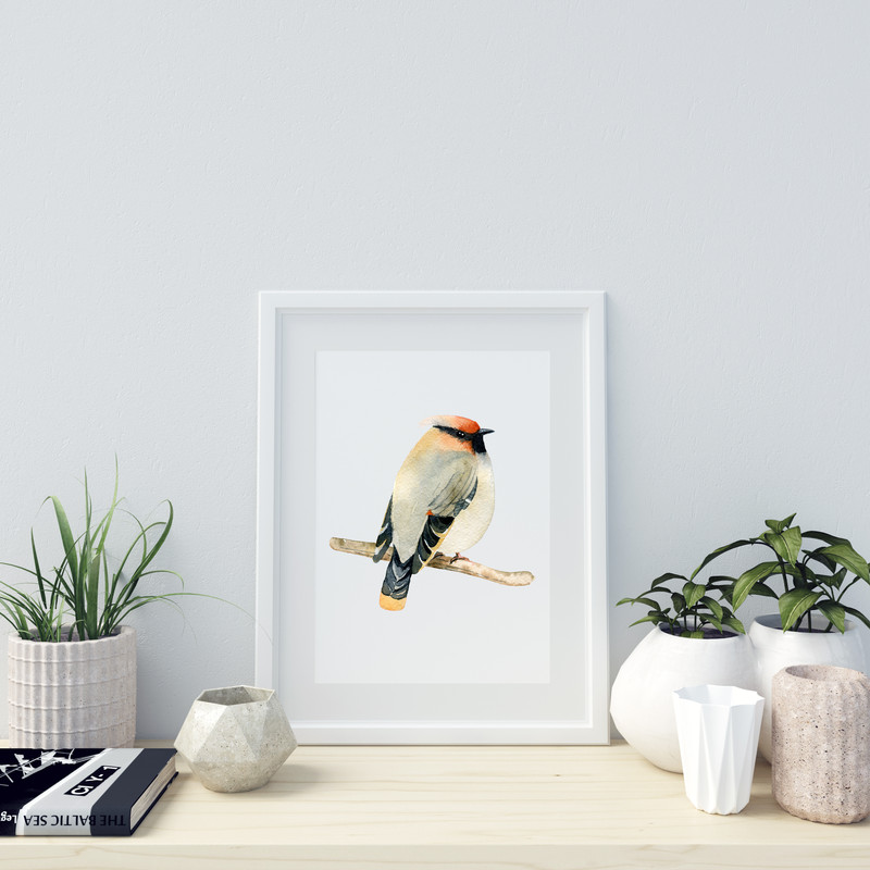 bird4.jpg