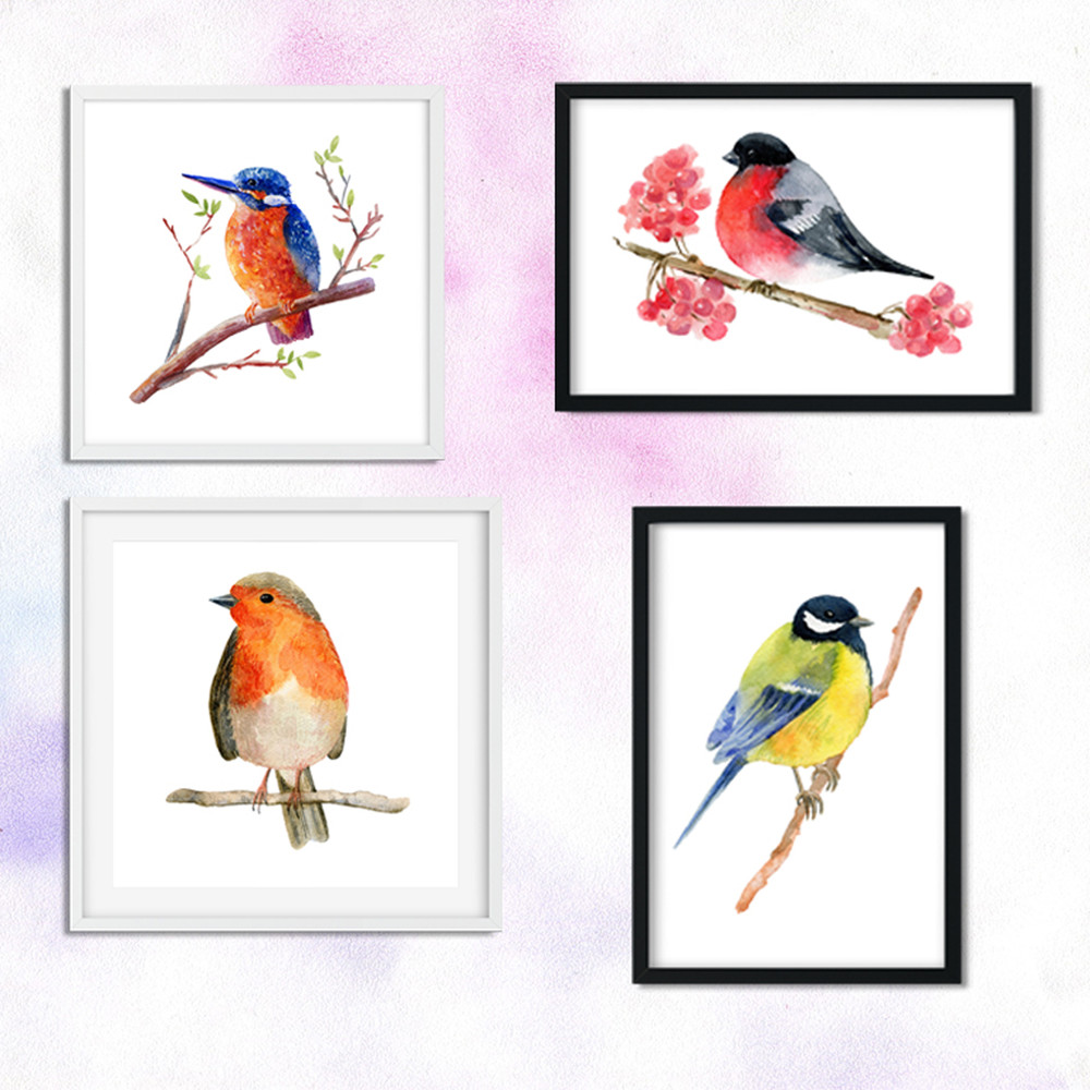 birds2.jpg