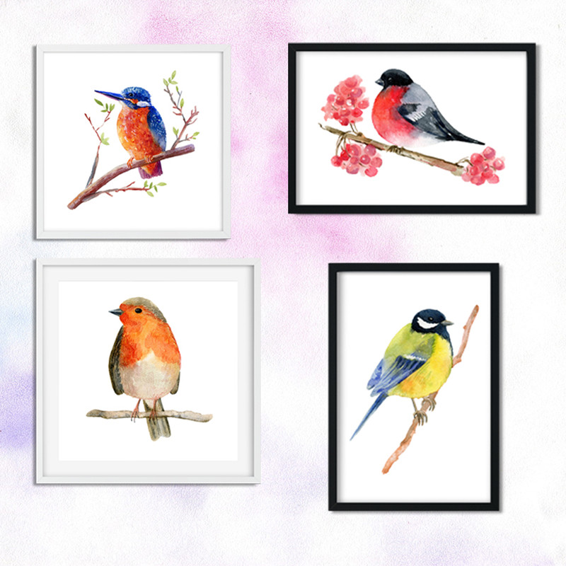 birds2.jpg