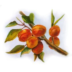 Apricot Painting Digital File Download Floral Fine Art by Svetlana