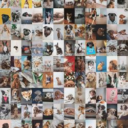 108 PCS Dogs wall collage kit DIGITAL DOWNLOAD | Dogs aesthetic Photo Collage Kit, Photo Wall Collage Set 4x6