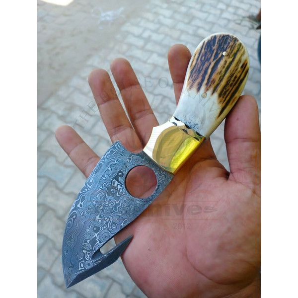 Hand Forged Fixed Blade Skinning Knife, Gut Hook, Stag Antler Handle, Skinner,.jpg