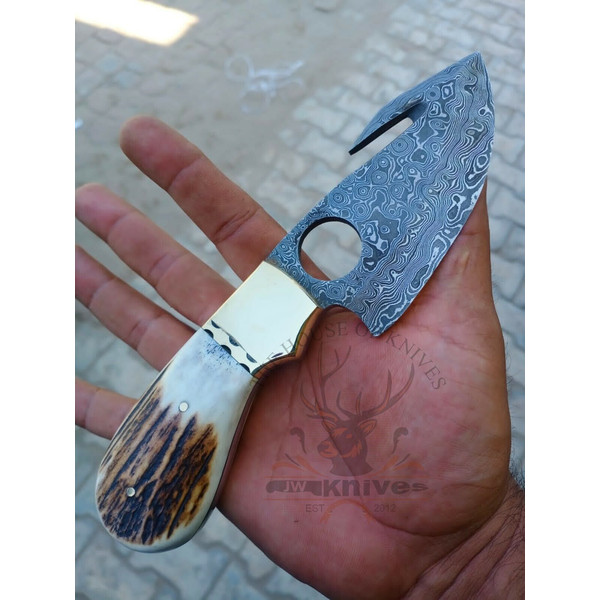 Hand Forged Fixed Blade Skinning Knife, Gut Hook, Stag Antler Handle, Skinner,5.jpg