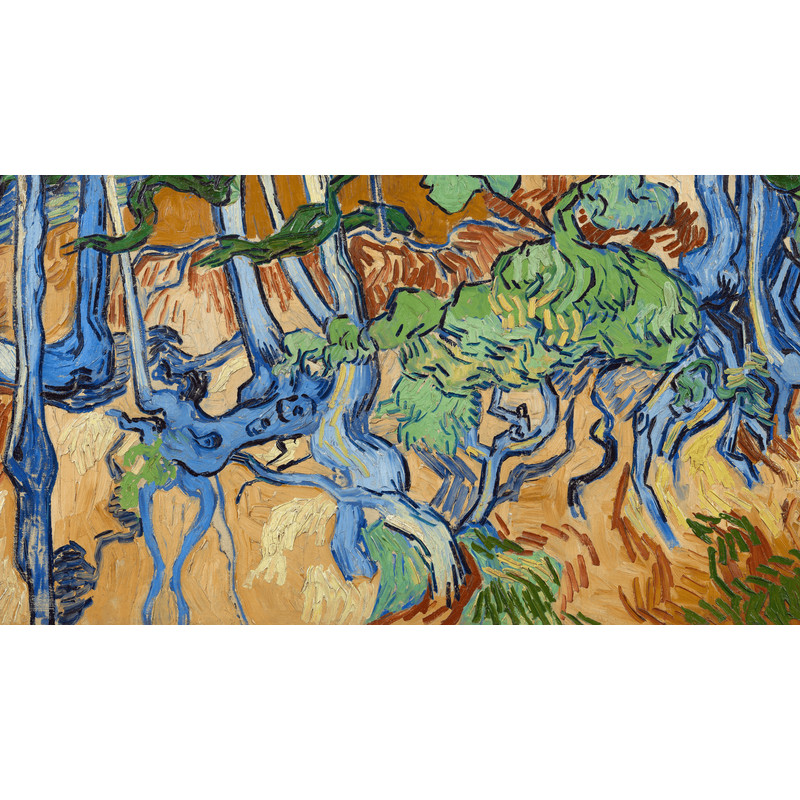 Vincent van Gogh's Tree Roots (1890).png