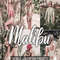 Malibu-presets-cover-product-WE-1594x1062.jpg