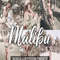 Malibu-presets-cover-product-we2-1594x1062.jpg