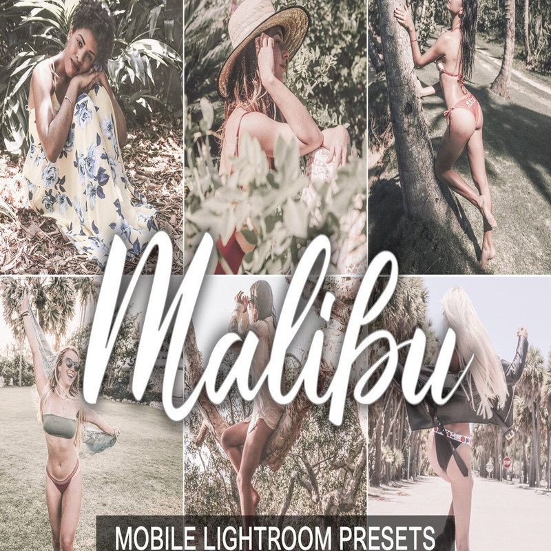 Malibu-presets-cover-product-we2-1594x1062.jpg