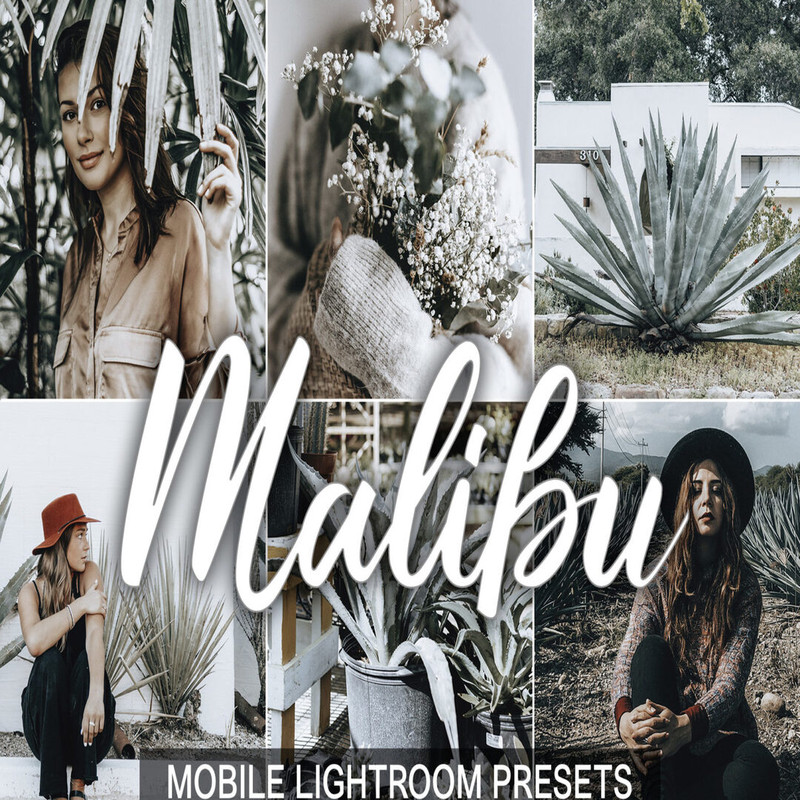 Malibu-presets-cover-product-we4-1594x1062.jpg