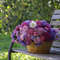 photo of basket full of colorful asters