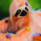 Sloth toy - art doll animal (6).JPG