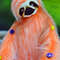 Sloth toy - art doll animal (8).JPG