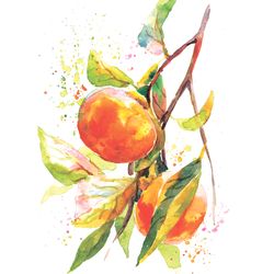 persimmon art print digital download wall decor fruit original kitchen poster