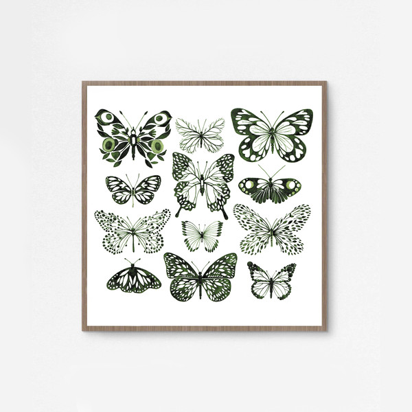 Butterflies1.jpg